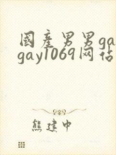 国产男男gaygay1069网站