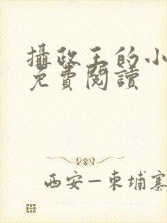 摄政王的小宠妃免费阅读