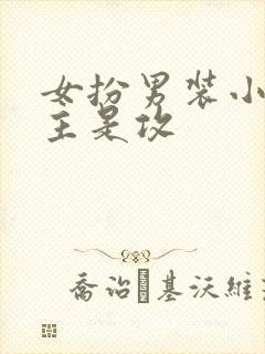 女扮男装小说女主是攻