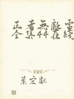 正者无敌电视剧全集44在线观看封面