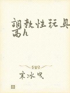 调教性玩具np高h