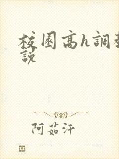 校园高h调教小说封面