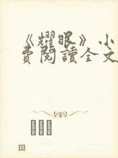 《耀眼》小说免费阅读全文