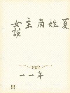 女主角姓夏的小说