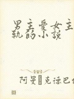 男主爱女主却出轨的小说