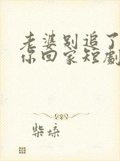 老婆别追了我跟你回家短剧免费观看全集