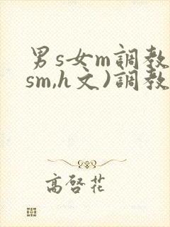 男s女m调教(sm,h文)调教小乳