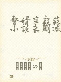 赘婿宁毅苏檀儿小说未删减版封面
