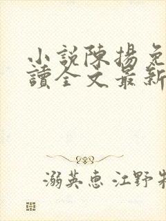 小说陈扬免费阅读全文最新