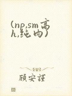 (np,sm高h,纯肉)