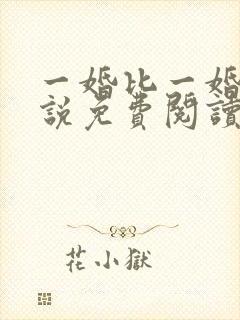 一婚比一婚高小说免费阅读