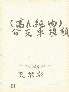 (高h,纯肉)公交车视频
