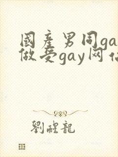 国产男同gay做受gay网站