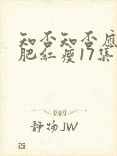 知否知否应是绿肥红瘦17集