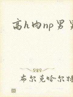 高h肉np男男