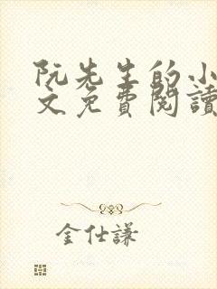 阮先生的小说全文免费阅读无弹窗