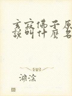 玄寂佛子原著小说叫什么名字
