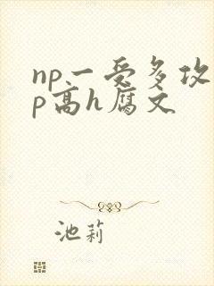 np一受多攻np高h腐文