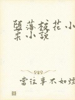 堕落校花小雪小柔小说封面
