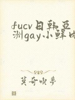 fucv日韩亚洲gay小鲜肉在