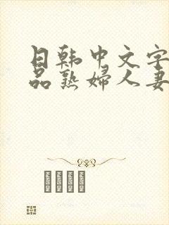 日韩中文字幕精品熟妇人妻
