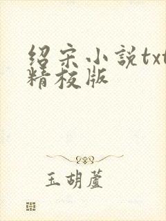绍宋小说txt精校版