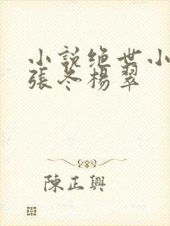 小说绝世小仙医张冬杨翠