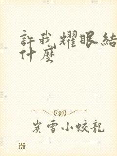 许我耀眼结局是什么