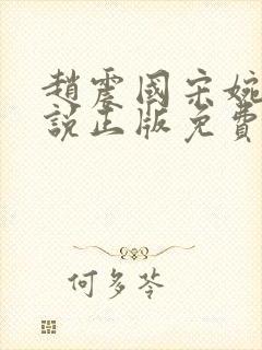 赵震国宋婉清小说正版免费阅读