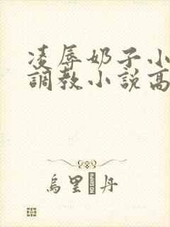 凌辱奶子小说上调教小说高h