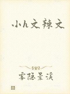 小h文辣文