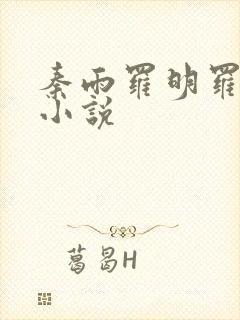 秦雨罗明罗兴旺小说