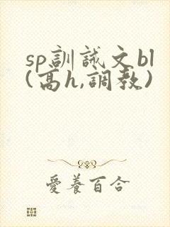 sp训诫文bl(高h,调教)
