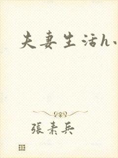 夫妻生活h小说封面