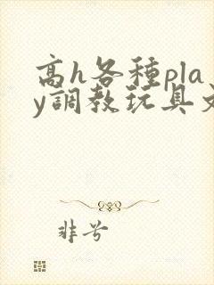 高h各种play调教玩具文