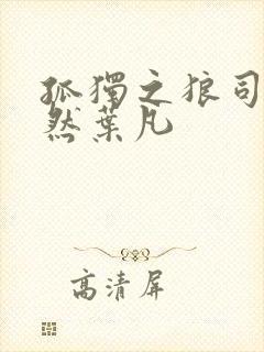 孤独之狼司空嫣然叶凡