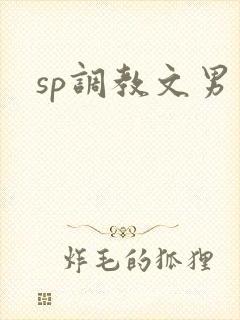sp调教文男男
