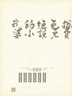 我的绝色总裁老婆小说免费阅读