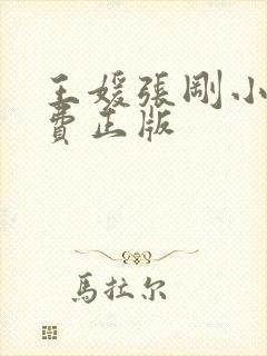王媛张刚小说免费正版