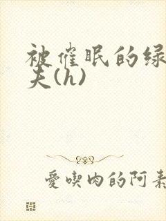 被催眠的绿帽夫夫(h)封面