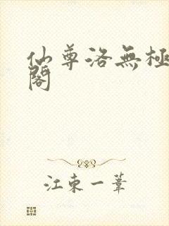 仙尊洛无极笔趣阁封面