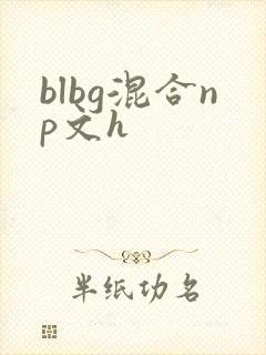 blbg混合np文h封面