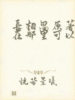 长相思原著小说在哪里可以看