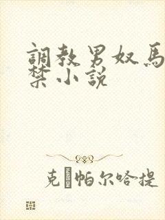 调教男奴马眼失禁小说