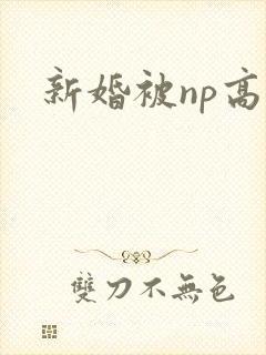 新婚被np高h