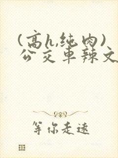 (高h,纯肉)公交车辣文