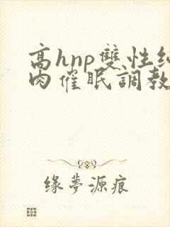 高hnp双性纯肉催眠调教