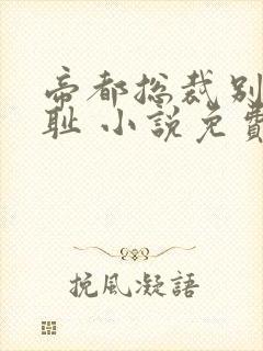 帝都总裁别太无耻 小说免费阅读