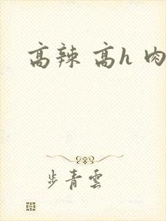 高辣 高h 肉