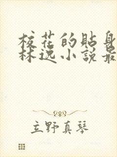 校花的贴身高手林逸小说最新篇章